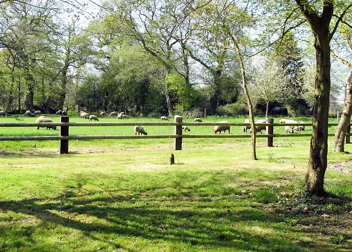 Hébergement de vacances La Bergerie By Interhome *